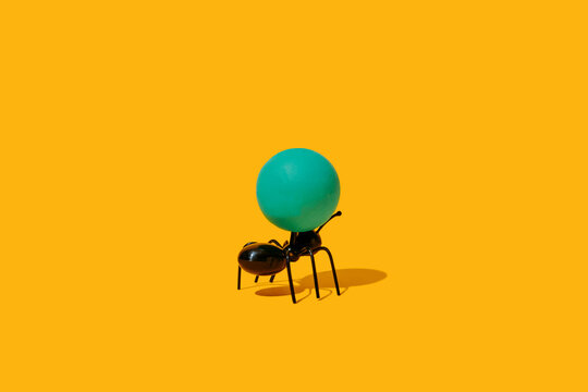 aint carrying a green sphere