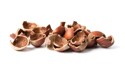 Nut hazelnut on a white background