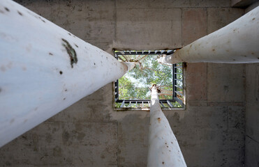Three eucalyptus trees run through the balcony