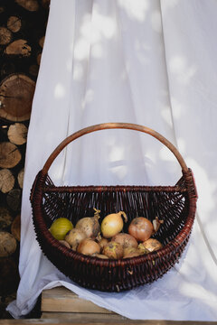 Autumn Still Life