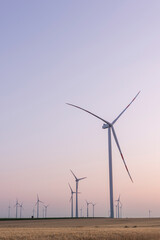 Windmills Wind Turbine in Fields at Sunrise