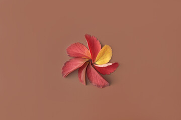 Flower made of autumnal leaves