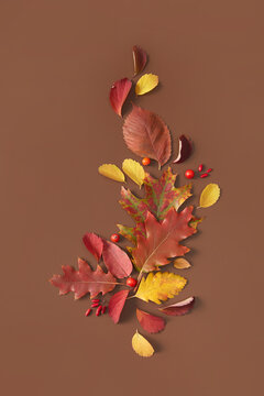 Beautiful autumnal foliage with berries
