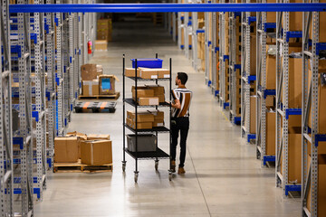 Manager Moving merchandise on warehouse floor 
