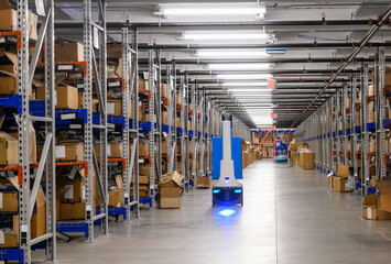 Robots at Warehouse of E-Commerce shipment center