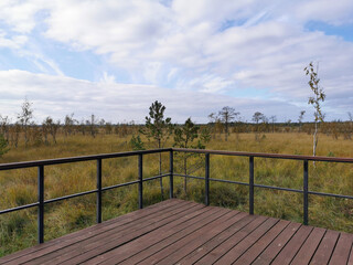 An observation deck with a wooden deck over the swamp, with a view of the grass and low trees against a beautiful sky with clouds.