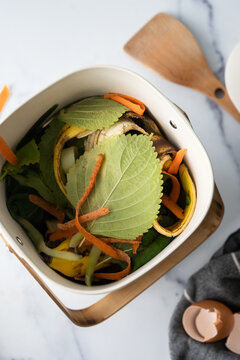 Food scraps in the compost bin