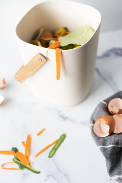 Recycling food scraps
