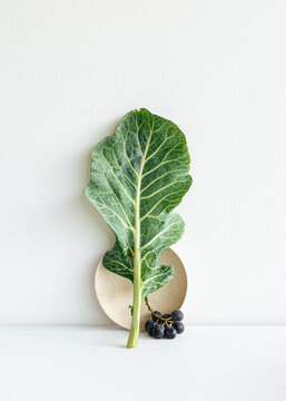 Still life of collard greens