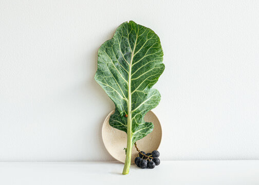 Still life of collard greens