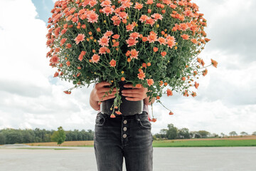 Person holding a pink mum. 