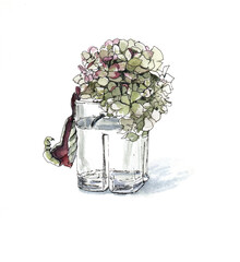 bouquet of hydrangea in a glass. watercolour illustration. Hortensia