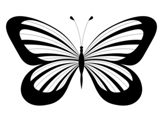 Butterfly. Stylized vector. Set of black and white insects. Abstract butterflies silhouettes isolated on white background for use as design elements or logo. Coloring book page
