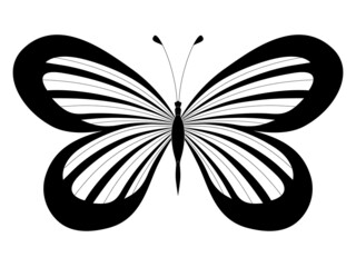 Butterfly. Stylized vector. Set of black and white insects. Abstract butterflies silhouettes isolated on white background for use as design elements or logo. Coloring book page
