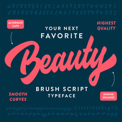 Beauty brush script hand lettering alphabet - obrazy, fototapety, plakaty