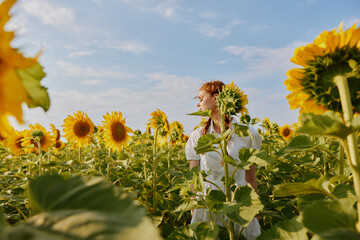 woman with two pigtails in a field of sunflowers landscape