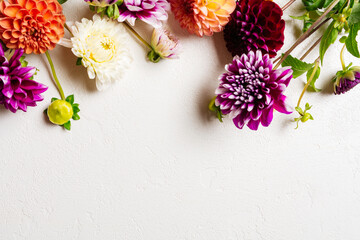 Dahlia floral border on white