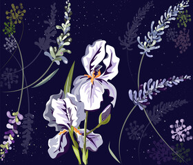 Blooming irises, vector bouquet, design element. It can be used for postcards, invitations, banners, posters, prints.
