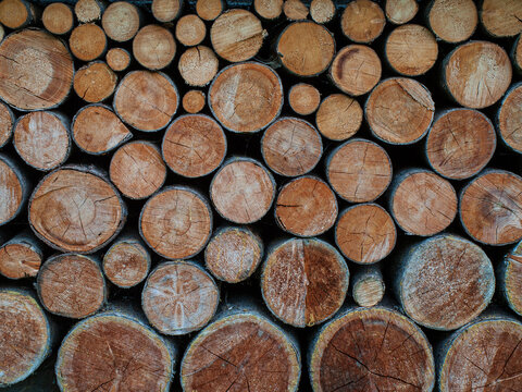 A neatly stacked pile of firewood outside a mountain hut in the Austrian Alps. 