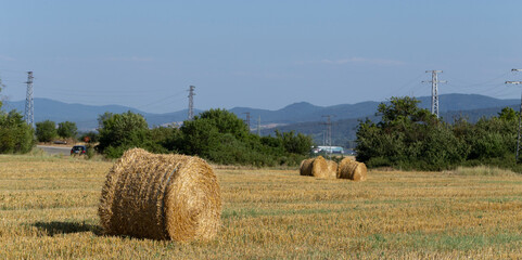 Wheat harvesting. Round bales of straw in the field. Agriculture in mountainous areas.