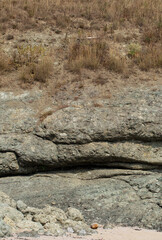 Black Sea coast. A seashore formed by frozen volcanic lava. Tectonic rocks.