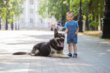 Naklejka na ściany i meble Little boy on a walk with a four-legged friend. German Shepherd