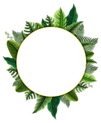 Round frame with tropical green leaves