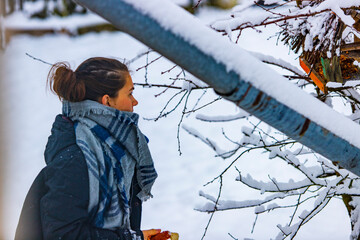 dziewczyna karmi ptaki chodząca po śniegu zima szalik mróz - obrazy, fototapety, plakaty