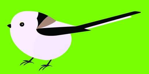 long - tailed tit vector bird (Aegithalos caudatus) isolated