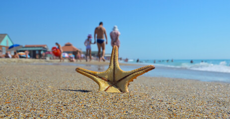 Star fish on the beach and the sea background