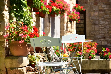 フランス・プロヴァンスの美しい村の花と庭 © AnthgrapherS12