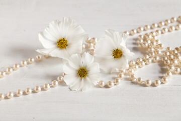 White Elegance Orchids And Pearls