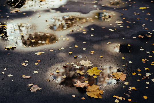 Puddles on the asphalt