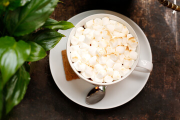 Hot chocolate with marshmallows and a spicy cookie. Culinary photography.