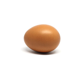 chicken egg isolate on white background