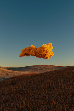 Minimal grassland