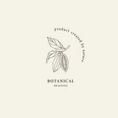 Hand drawn cacao logo. Botanical design