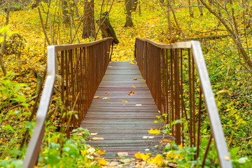 Old metal bridge over a ravine in the autumn forest. Tranquil forest landscape with yellow foliage.