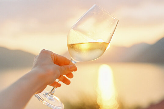 woman holding a wine glass