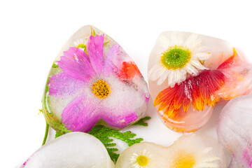 Various frozen flowers in the shape of an ice heart. Creative floral background. Frozen beautiful plants.