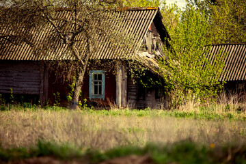 Fototapeta na wymiar Old empty village house and garden.