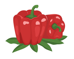 Two red peppers isolated on white, sweet paprika, vegetables, spices, healthy food. Vector