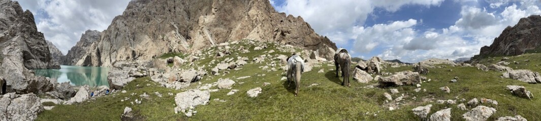 озеро Кель Суу Кыргызстан 
лошади