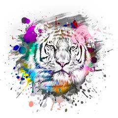 Poster tiger head with background © reznik_val