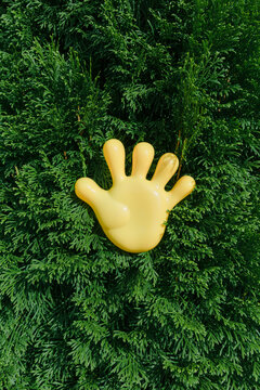 The Yellow Hand On The Tree.