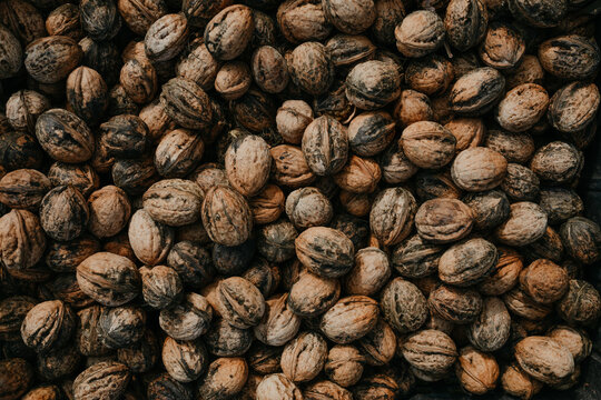 Walnut Background