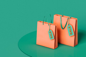 shopping bags with a sale tag. with copy space