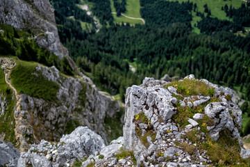 Fototapeta na wymiar Blick ins Tal (Tannheimer Tal, Tirol, Österreich)