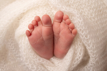 The tiny foot of a newborn. Soft feet of a newborn in a white woolen blanket. Close up of toes, heels and feet of a newborn baby. Studio Macro photography. Woman's happiness. Photography, concept.
