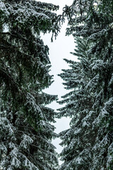 Schöne Winterlandschaft auf den Höhen des Thüringer Waldes bei Schmiedefeld - Thüringen